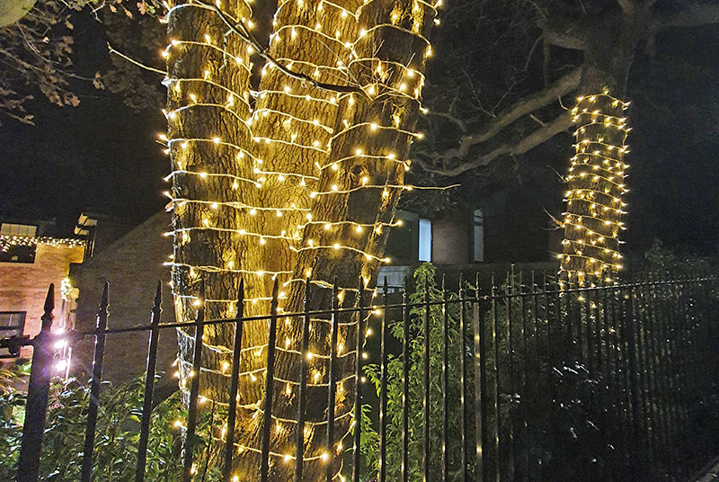 Trees wrapped with warm white fairy light strings for a Christmas light display in the grounds of a private estate in Canford Cliffs, Poole.